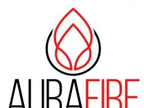 Паровые камины Alfyever