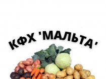Овощи для борща оптом