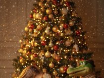 Нейрофото для семьи, детей и взрослых