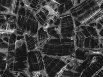 Каменные обои — природная эстетика и прочность в современном интерьере