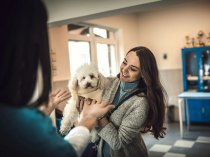 Юнивет - вет клиника Домодедово