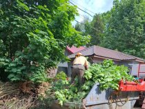 Вывоз мусора контейнерами 8 м3, 20 м3, 27 м3, а также ГАЗелями 8 м3-14 м3