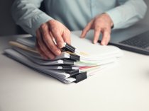 Подготовка проекта освоения лесов