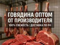Оптовая продажа мяса говядины