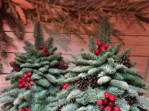 «Ёлочный Базар» - живые елки в Серпухове