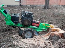 Спил деревьев в Краснодаре