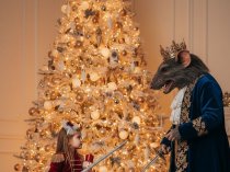 Нейрофото для семьи, детей и взрослых