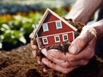 Земельный юрист в Одинцово