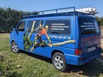 Спил деревьев в Краснодаре